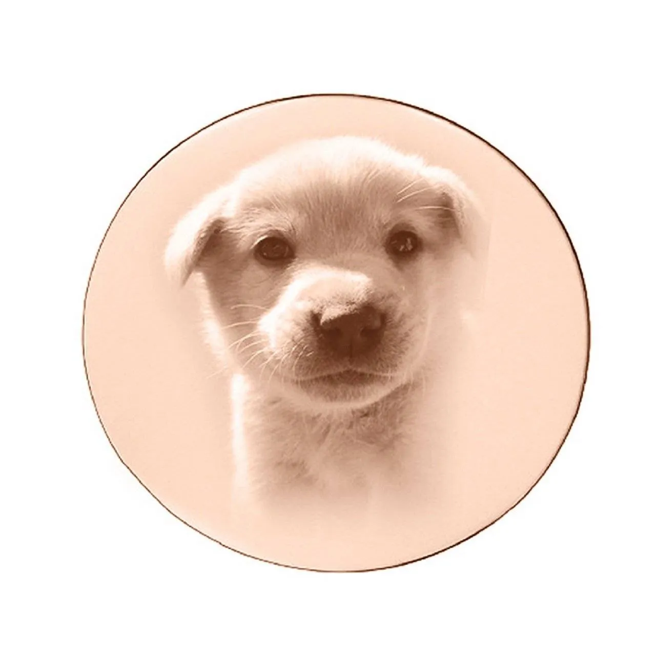 Disc Photo Insert for Dream Locket