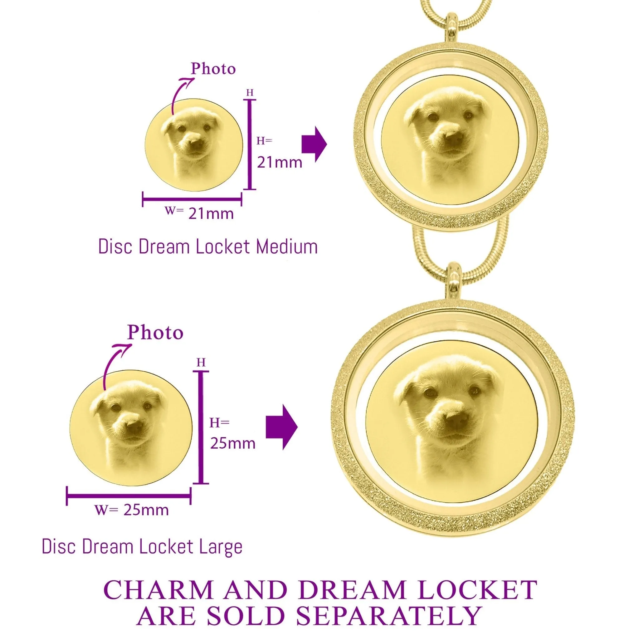 Disc Photo Insert for Dream Locket