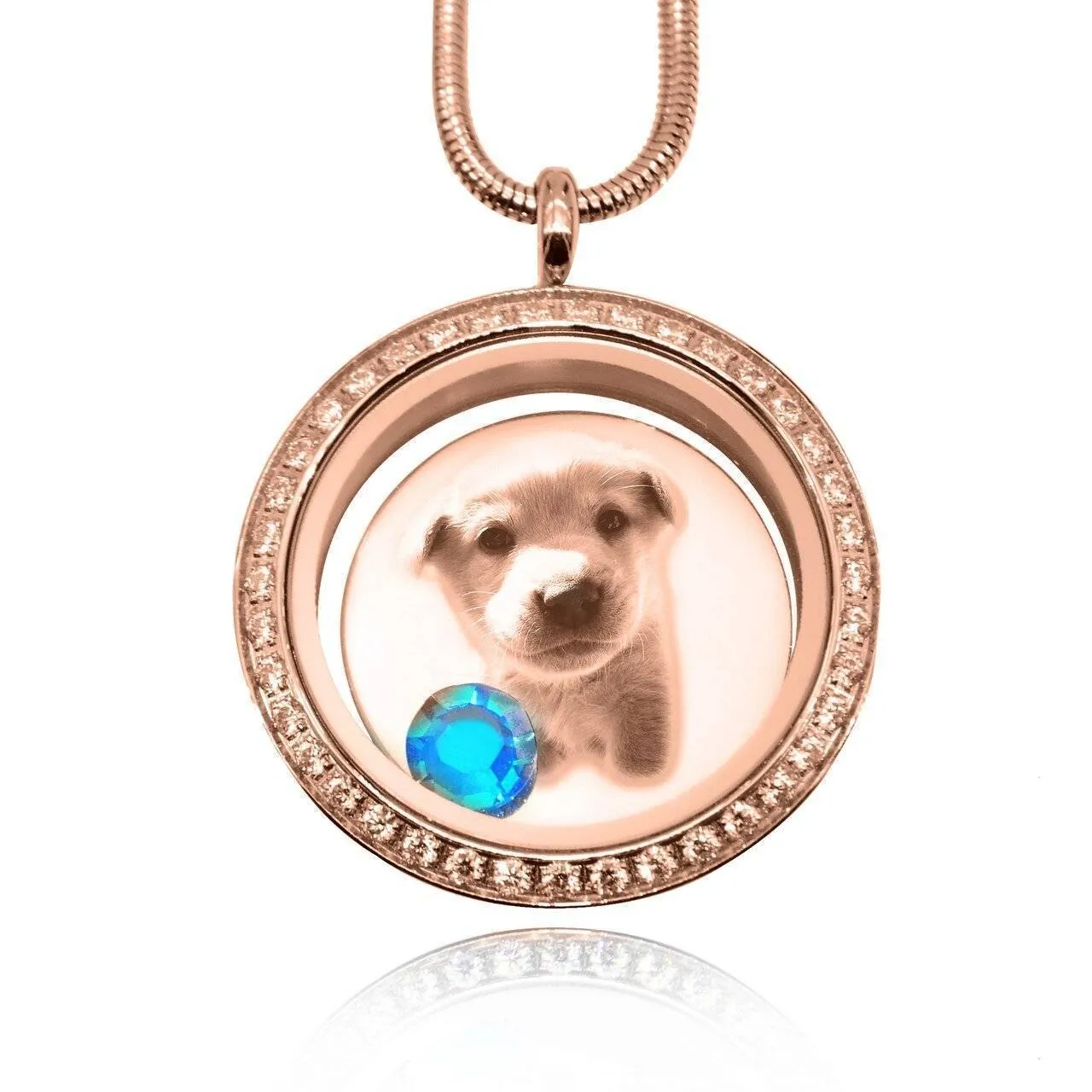 Disc Photo Insert for Dream Locket
