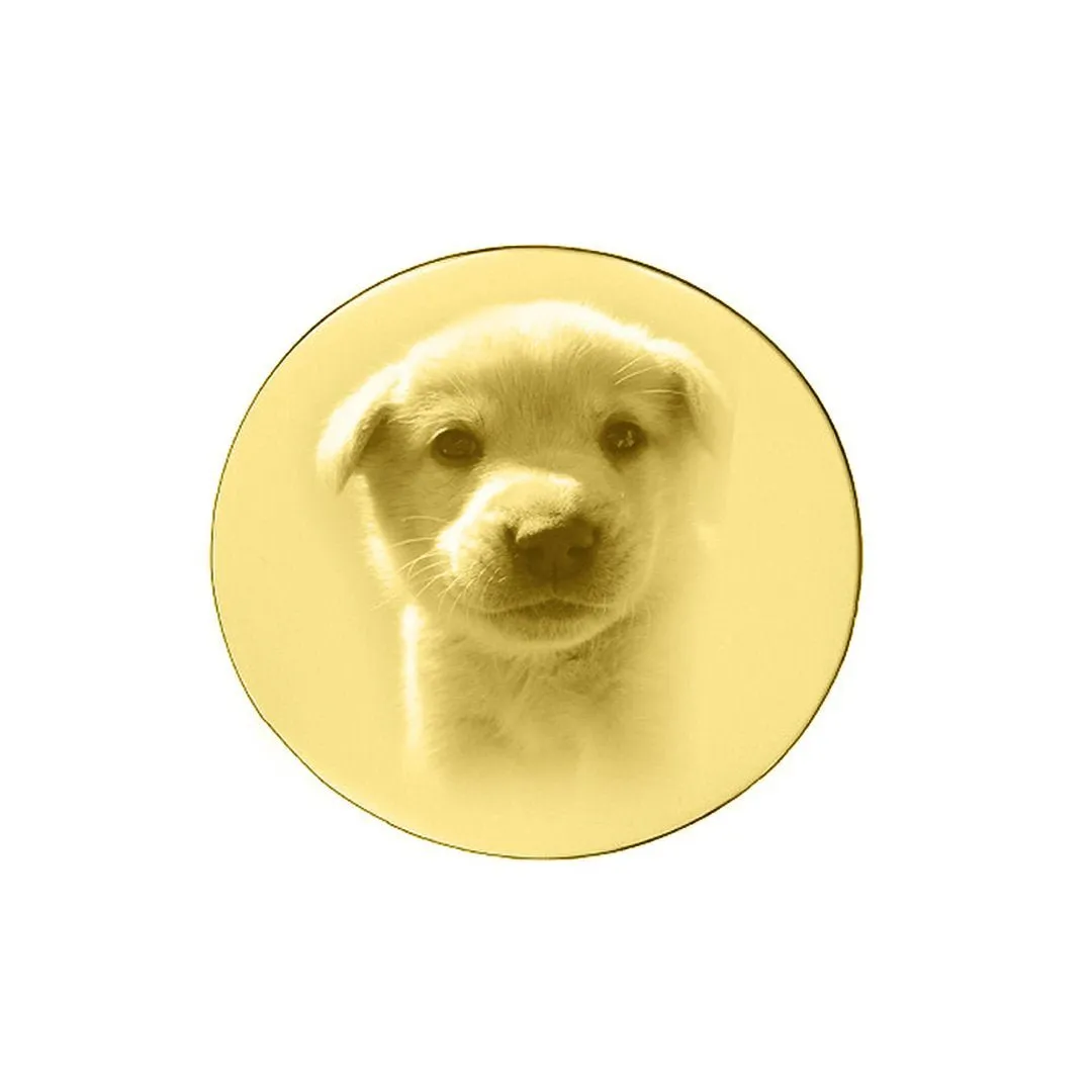 Disc Photo Insert for Dream Locket