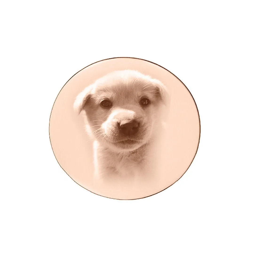Disc Photo Insert for Dream Locket