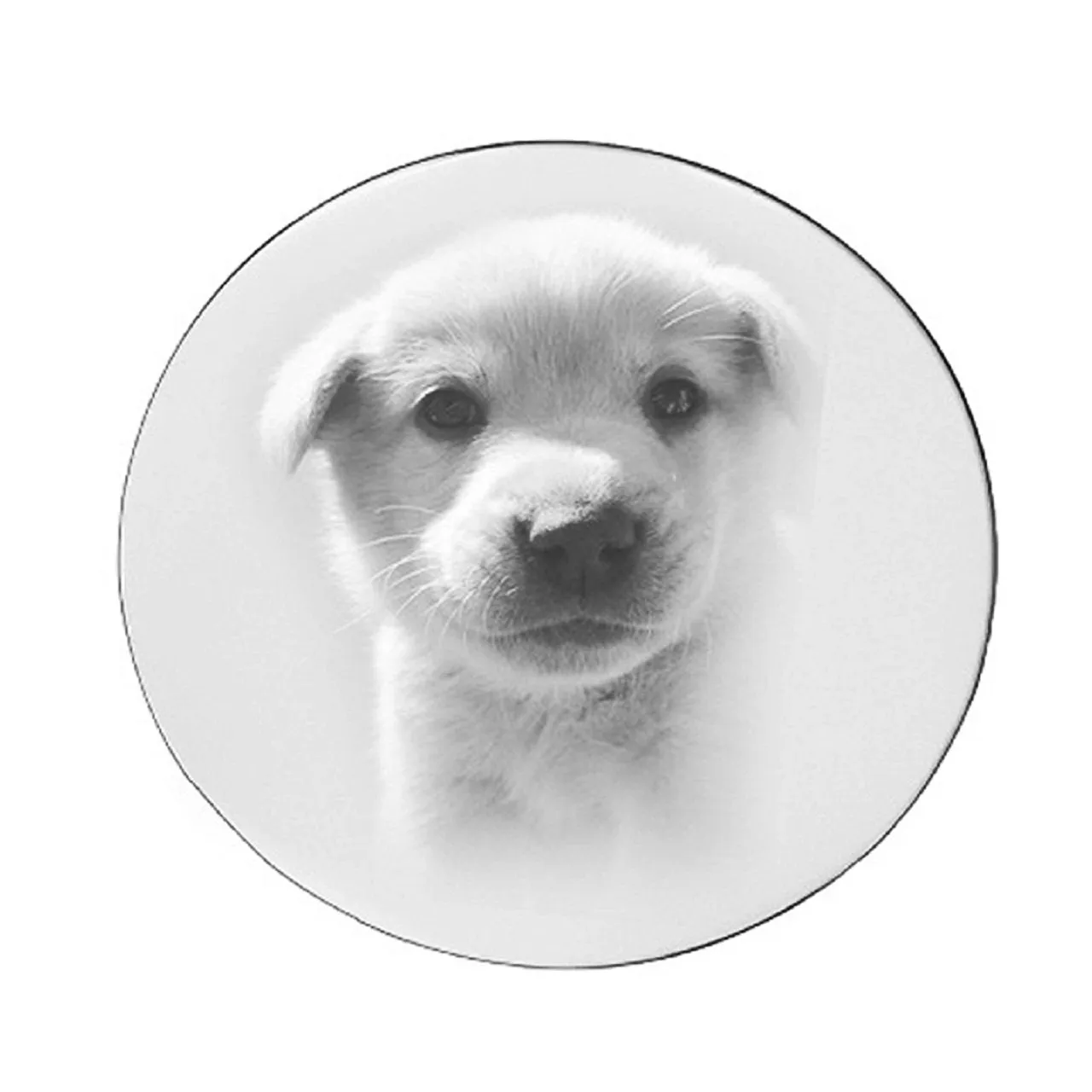 Disc Photo Insert for Dream Locket