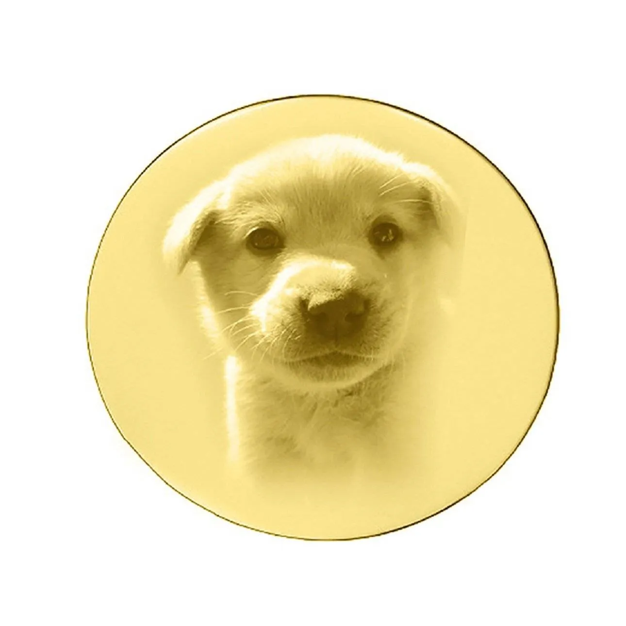 Disc Photo Insert for Dream Locket