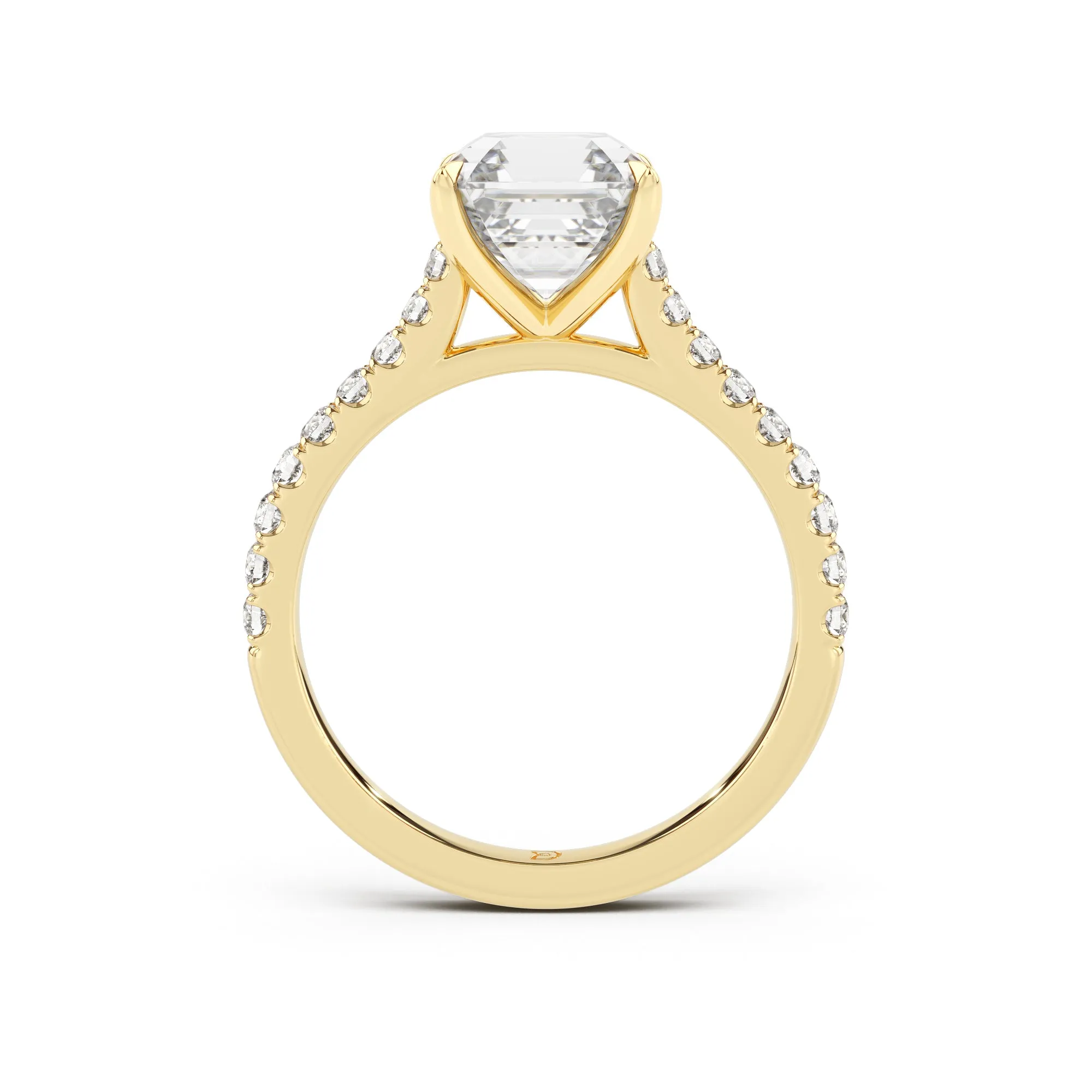 Embrace Engagement Ring with Diamond Band