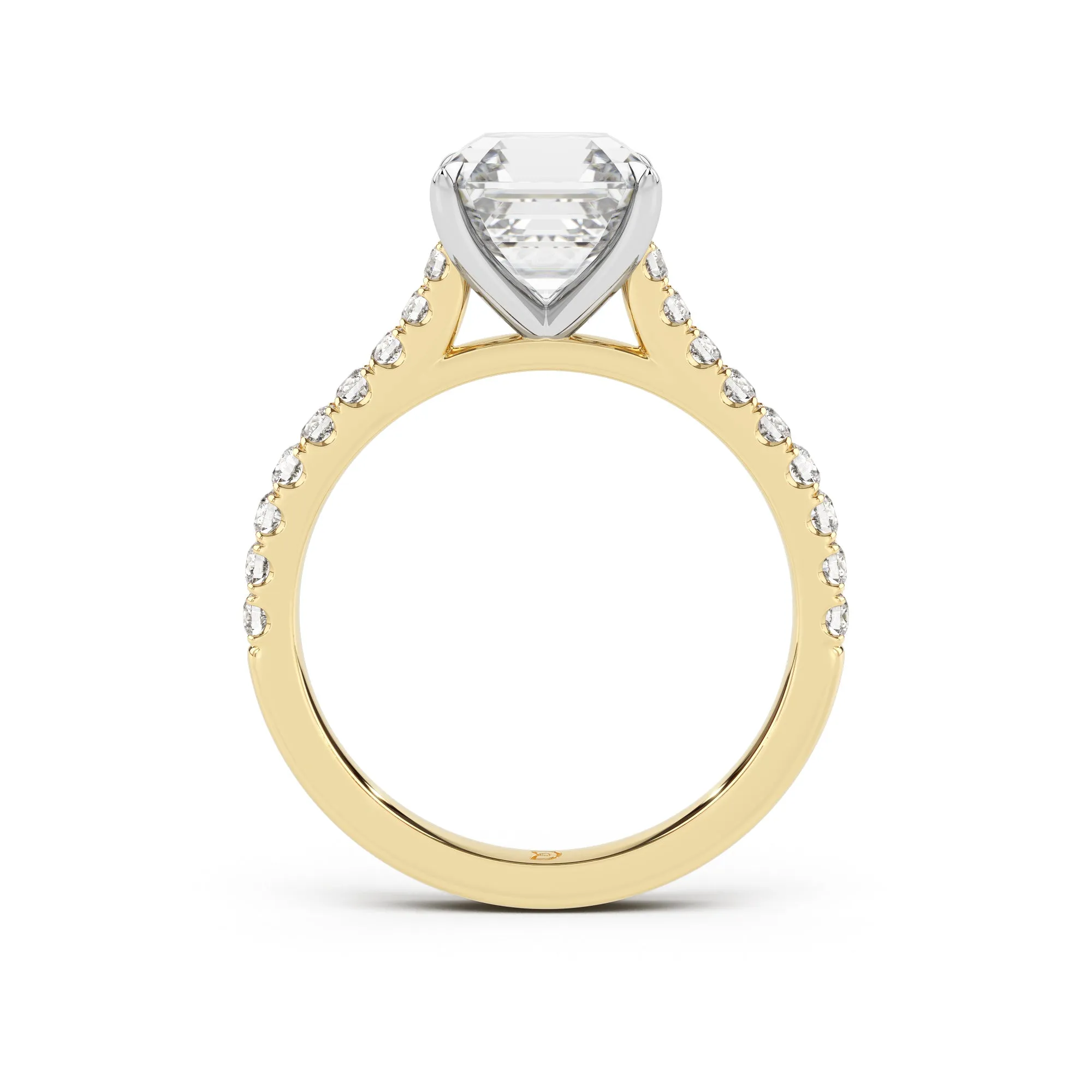 Embrace Engagement Ring with Diamond Band