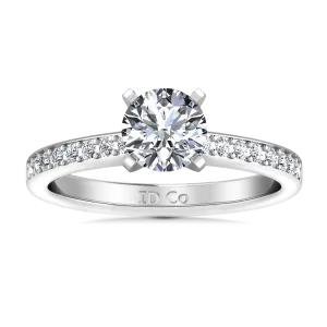 Round Diamond Pave Engagement Ring Belle 14K White Gold