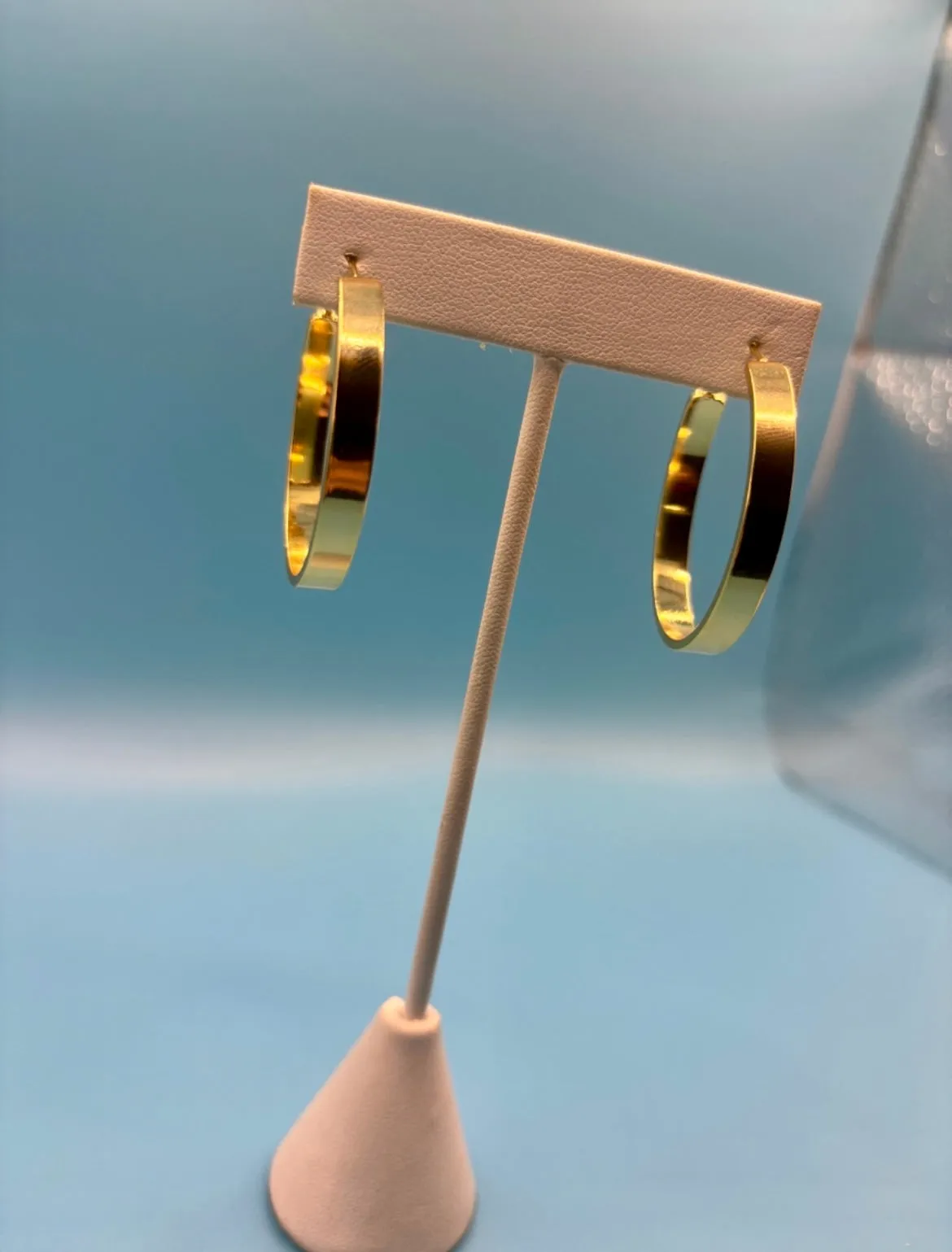 Shiny Hoop
