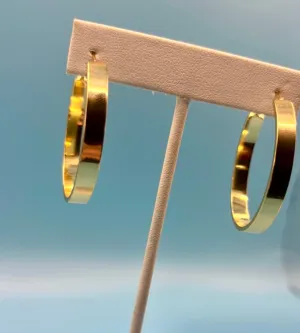 Shiny Hoop